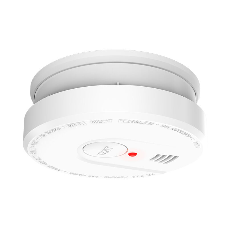 DC9V Fire Smoke Detector Portable Carbon Monoxide Detector Ex Ib LlB